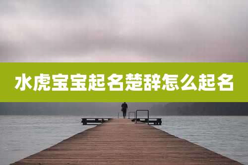 水虎宝宝起名楚辞怎么起名