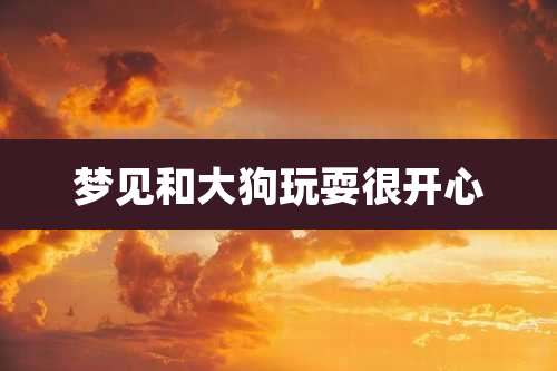 梦见和大狗玩耍很开心