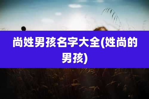 尚姓男孩名字大全(姓尚的男孩)