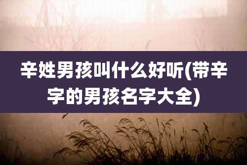 辛姓男孩叫什么好听(带辛字的男孩名字大全)