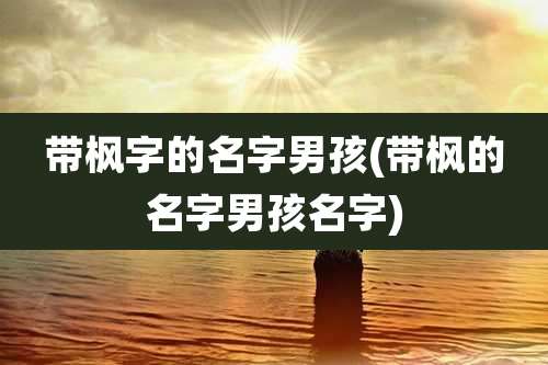 带枫字的名字男孩(带枫的名字男孩名字)
