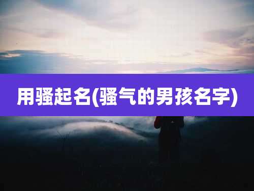 用骚起名(骚气的男孩名字)