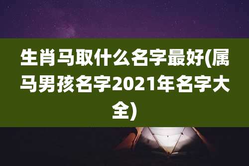 生肖马取什么名字最好(属马男孩名字2021年名字大全)