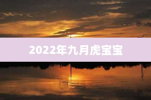 2022年九月虎宝宝