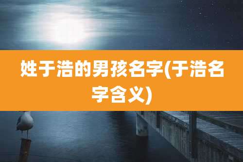 姓于浩的男孩名字(于浩名字含义)