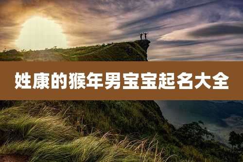 姓康的猴年男宝宝起名大全