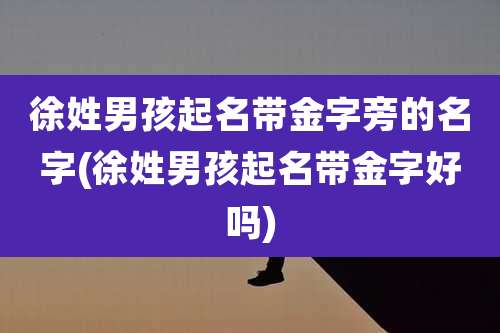 徐姓男孩起名带金字旁的名字(徐姓男孩起名带金字好吗)