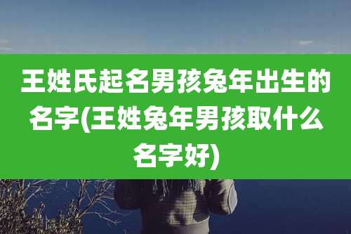 王姓氏起名男孩兔年出生的名字(王姓兔年男孩取什么名字好)