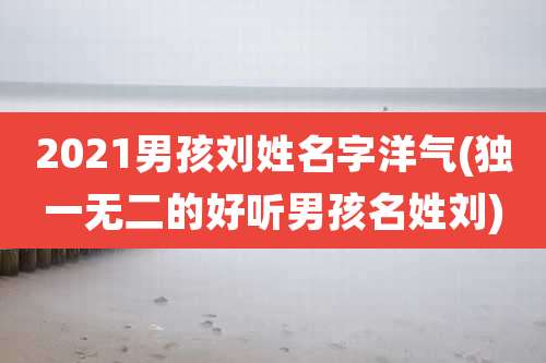 2021男孩刘姓名字洋气(独一无二的好听男孩名姓刘)