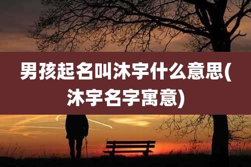 男孩起名叫沐宇什么意思(沐宇名字寓意)