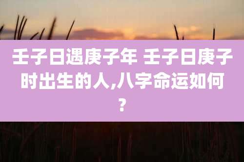 壬子日遇庚子年 壬子日庚子时出生的人,八字命运如何?