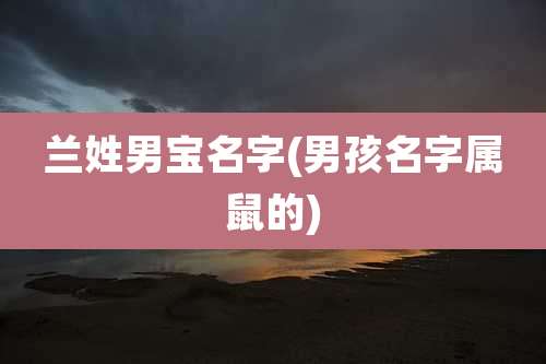 兰姓男宝名字(男孩名字属鼠的)