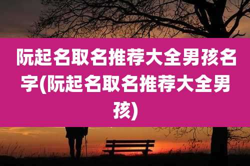 阮起名取名推荐大全男孩名字(阮起名取名推荐大全男孩)