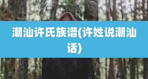 潮汕许氏族谱(许姓说潮汕话)