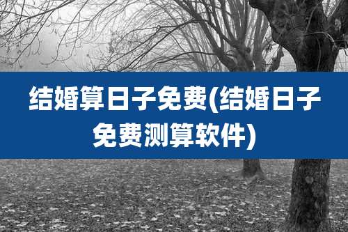 结婚算日子免费(结婚日子免费测算软件)