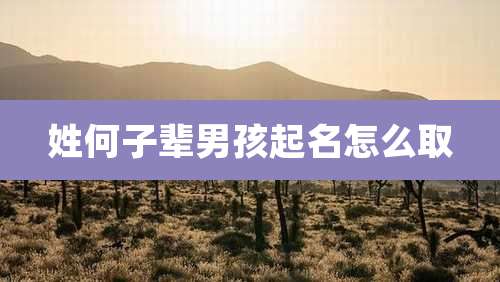 姓何子辈男孩起名怎么取
