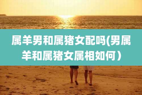 属羊男和属猪女配吗(男属羊和属猪女属相如何）