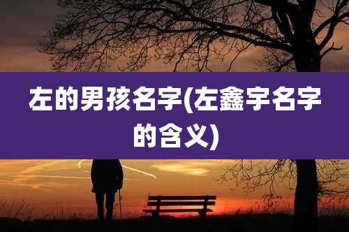 左的男孩名字(左鑫宇名字的含义)