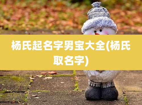 杨氏起名字男宝大全(杨氏取名字)