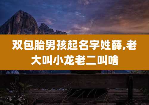 双包胎男孩起名字姓薛,老大叫小龙老二叫啥