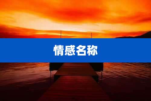 情感名称