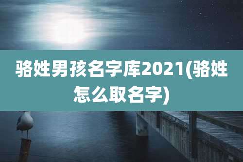 骆姓男孩名字库2021(骆姓怎么取名字)