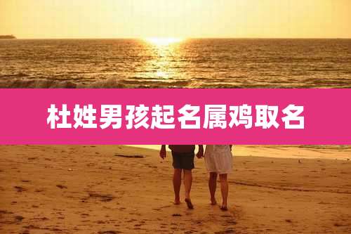 杜姓男孩起名属鸡取名