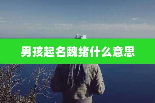 男孩起名魏绪什么意思