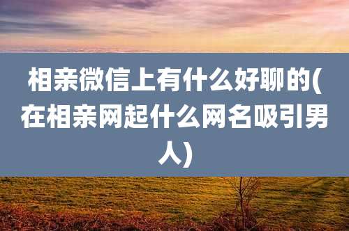 相亲微信上有什么好聊的(在相亲网起什么网名吸引男人)