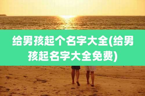给男孩起个名字大全(给男孩起名字大全免费)