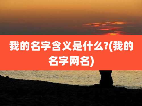 我的名字含义是什么?(我的名字网名)