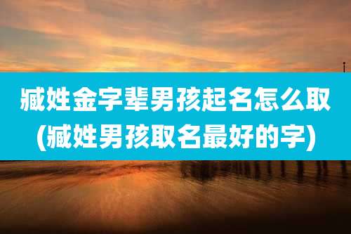 臧姓金字辈男孩起名怎么取(臧姓男孩取名最好的字)