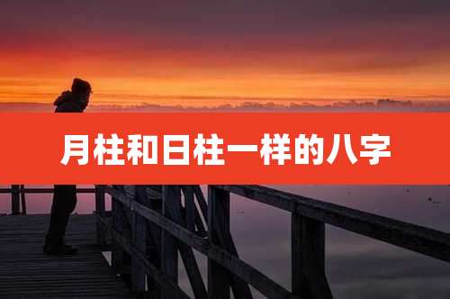 月柱和日柱一样的八字