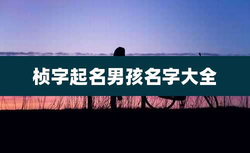 桢字起名男孩名字大全