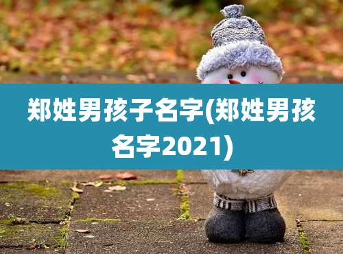 郑姓男孩子名字(郑姓男孩名字2021)