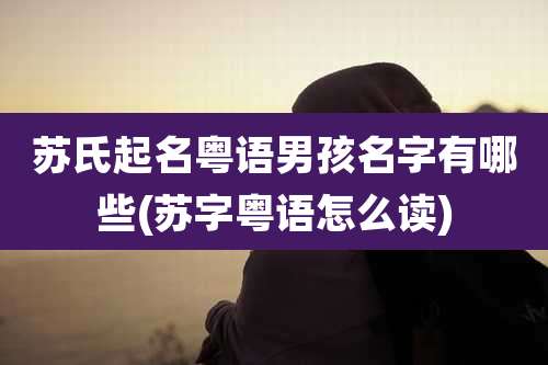 苏氏起名粤语男孩名字有哪些(苏字粤语怎么读)