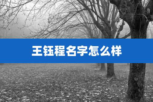 王钰程名字怎么样