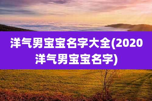 洋气男宝宝名字大全(2020洋气男宝宝名字)