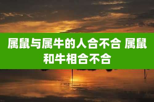 属鼠与属牛的人合不合 属鼠和牛相合不合