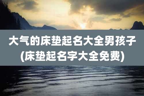 大气的床垫起名大全男孩子(床垫起名字大全免费)