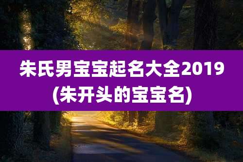 朱氏男宝宝起名大全2019(朱开头的宝宝名)