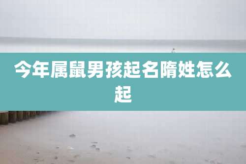 今年属鼠男孩起名隋姓怎么起