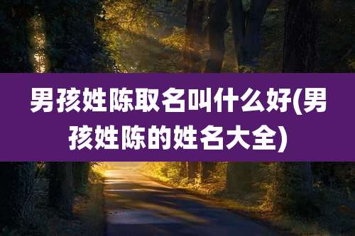 男孩姓陈取名叫什么好(男孩姓陈的姓名大全)