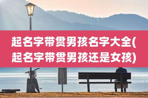 起名字带贯男孩名字大全(起名字带贯男孩还是女孩)