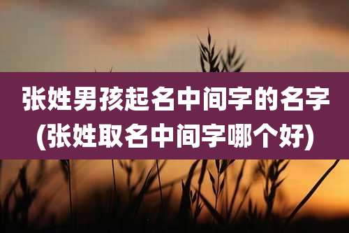 张姓男孩起名中间字的名字(张姓取名中间字哪个好)