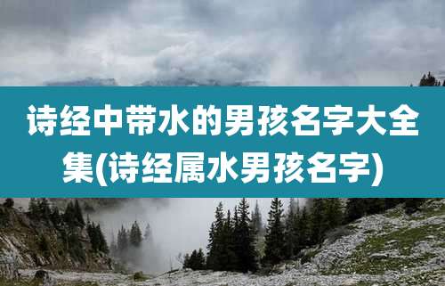 诗经中带水的男孩名字大全集(诗经属水男孩名字)