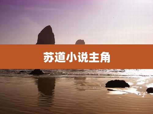 苏道小说主角