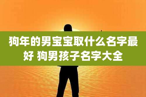 狗年的男宝宝取什么名字最好 狗男孩子名字大全