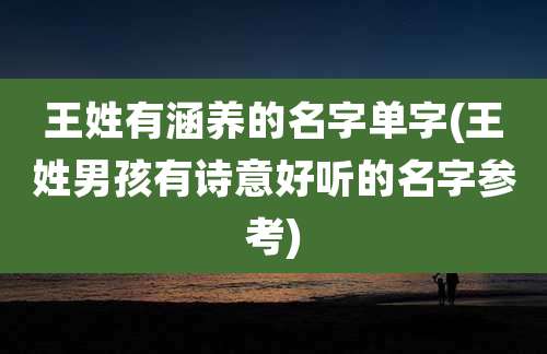 王姓有涵养的名字单字(王姓男孩有诗意好听的名字参考)