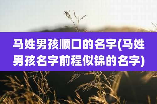 马姓男孩顺口的名字(马姓男孩名字前程似锦的名字)